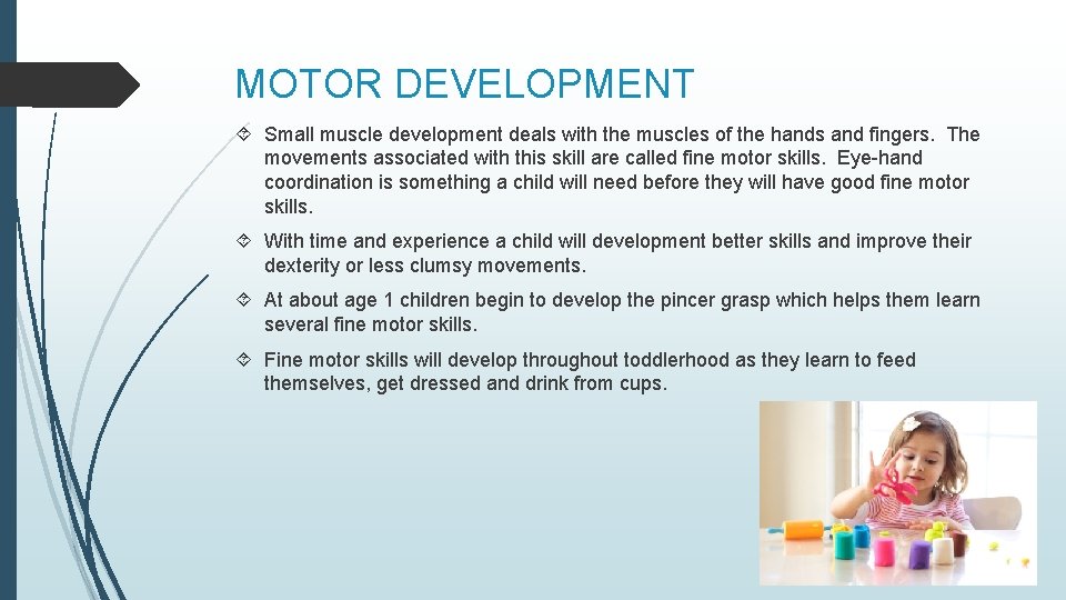 MOTOR DEVELOPMENT Small muscle development deals with the muscles of the hands and fingers.