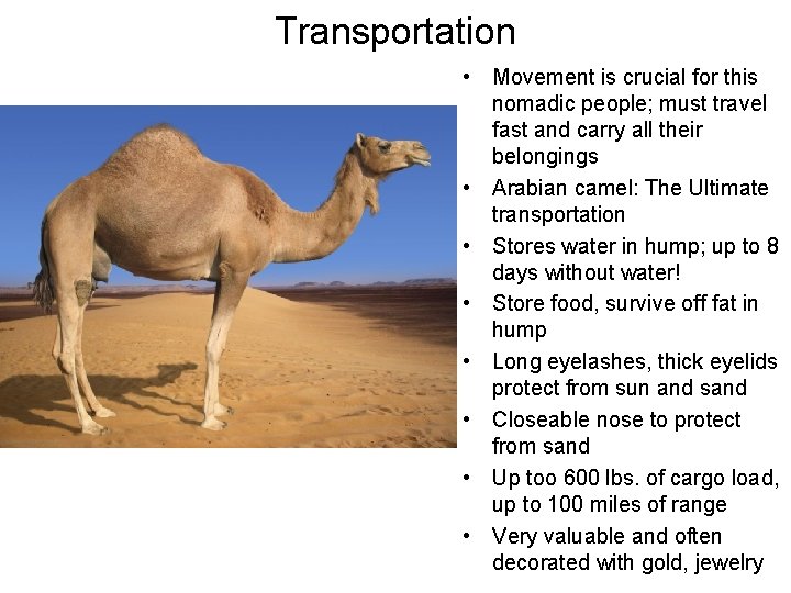Transportation • Movement is crucial for this nomadic people; must travel fast and carry Transportation • Movement is crucial for this nomadic people; must travel fast and carry
