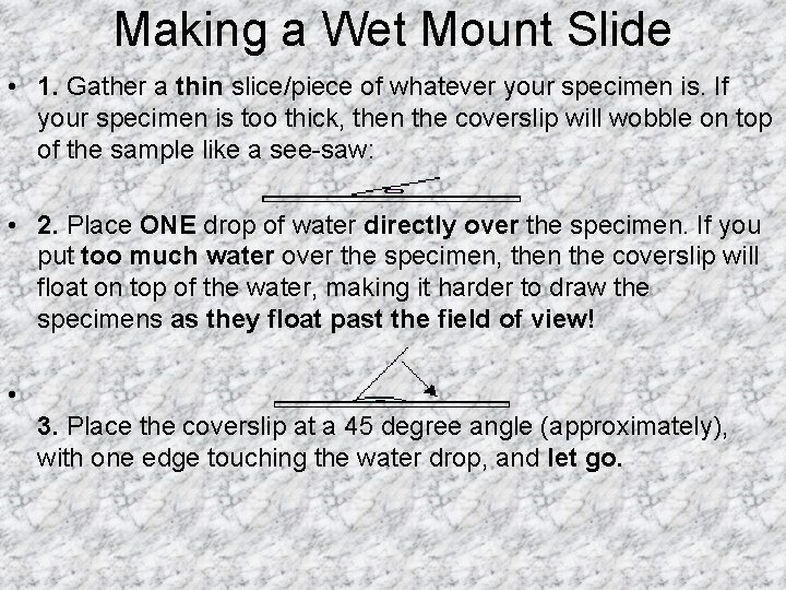 Making a Wet Mount Slide • 1. Gather a thin slice/piece of whatever your
