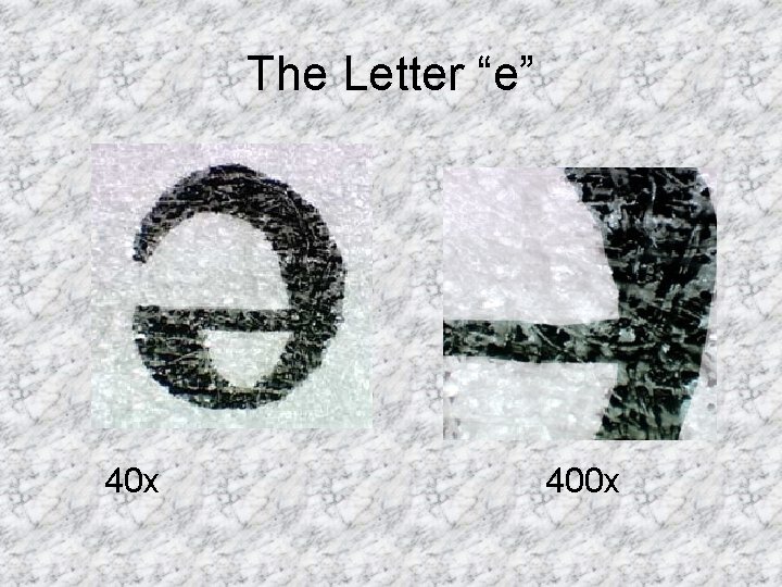 The Letter “e” 40 x 400 x 