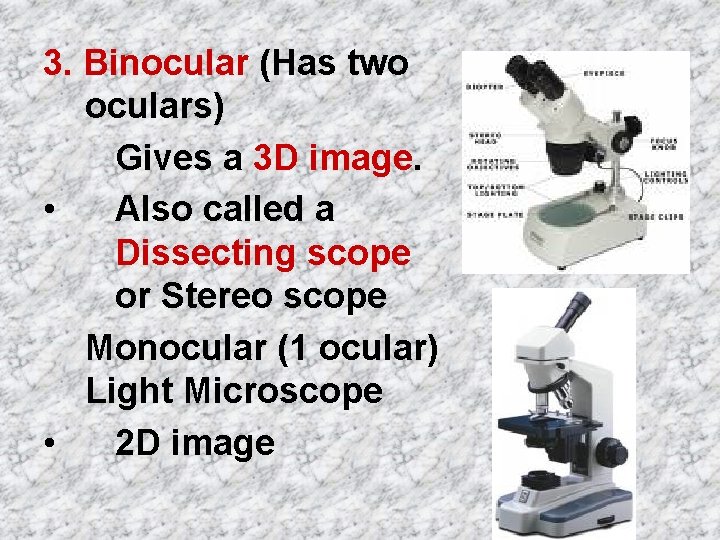 3. Binocular (Has two oculars) Gives a 3 D image. • Also called a