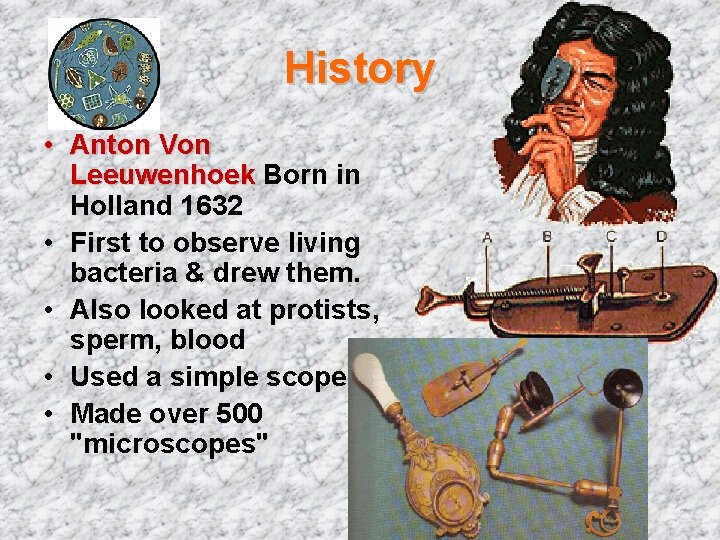 History • Anton Von Leeuwenhoek Born in Holland 1632 • First to observe living