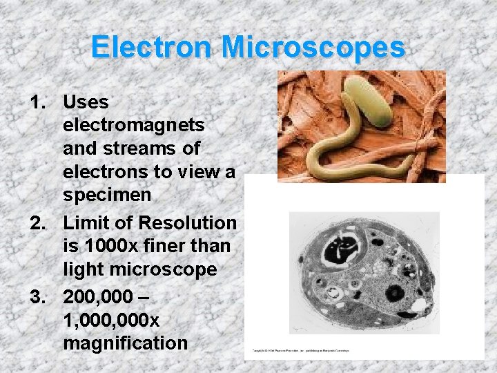 Electron Microscopes 1. Uses electromagnets and streams of electrons to view a specimen 2.