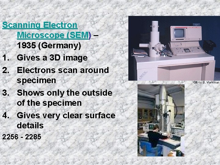 Scanning Electron Microscope (SEM) – 1935 (Germany) 1. Gives a 3 D image 2.
