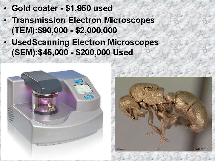  • Gold coater - $1, 950 used • Transmission Electron Microscopes (TEM): $90,