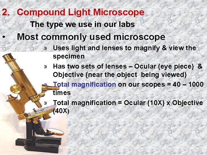 2. Compound Light Microscope The type we use in our labs • Most commonly