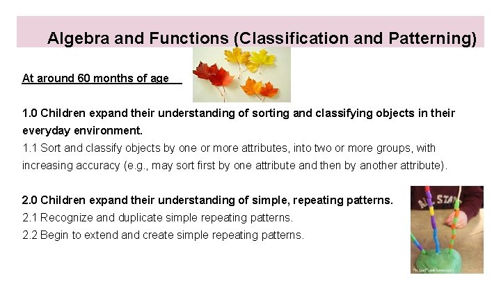 Algebra and Functions (Classification and Patterning) At around 60 months of age 1. 0 Algebra and Functions (Classification and Patterning) At around 60 months of age 1. 0