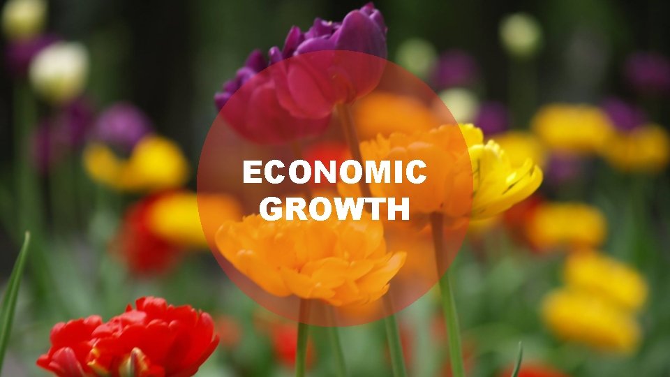 ECONOMIC GROWTH 