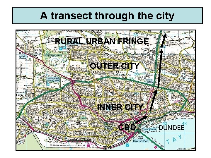 A transect through the city RURAL URBAN FRINGE OUTER CITY INNER CITY CBD 