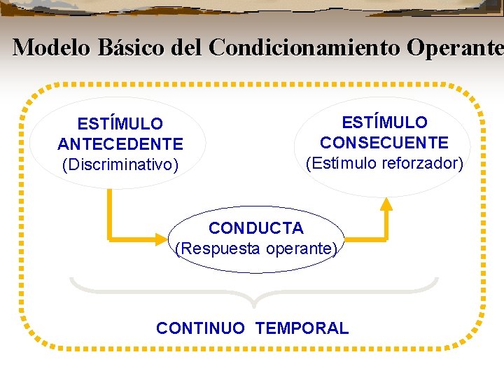 Modelo Básico del Condicionamiento Operante ESTÍMULO ANTECEDENTE (Discriminativo) ESTÍMULO CONSECUENTE (Estímulo reforzador) CONDUCTA (Respuesta