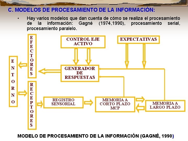 C. MODELOS DE PROCESAMIENTO DE LA INFORMACIÓN: • E N T O R N