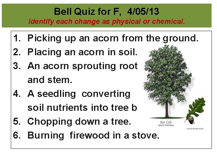 Bell Quiz for F, 4/05/13 Identify each change as physical or chemical. 1. Picking