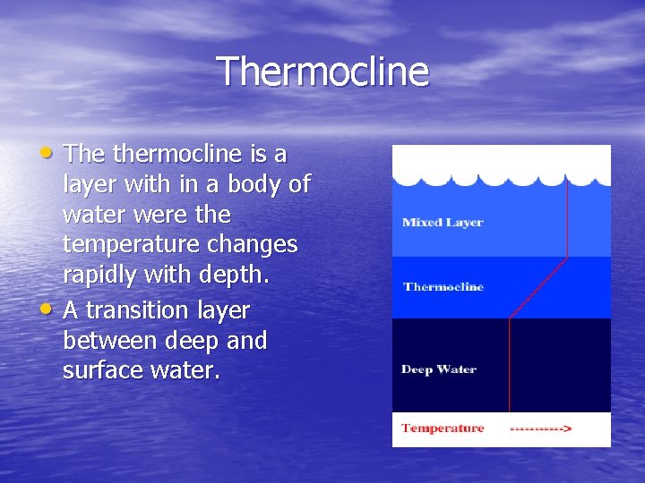 Thermocline • The thermocline is a • layer with in a body of water