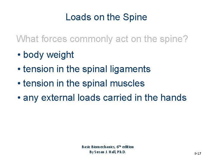 Loads on the Spine What forces commonly act on the spine? • body weight