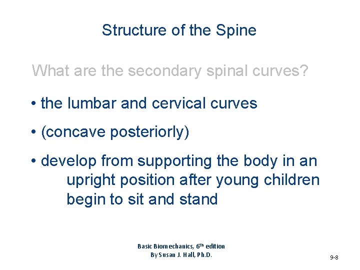Structure of the Spine What are the secondary spinal curves? • the lumbar and
