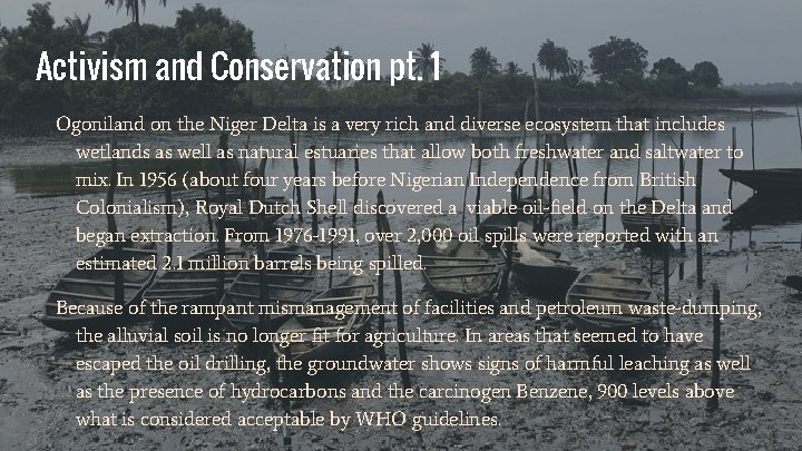 Activism and Conservation pt. 1 Ogoniland on the Niger Delta is a very rich
