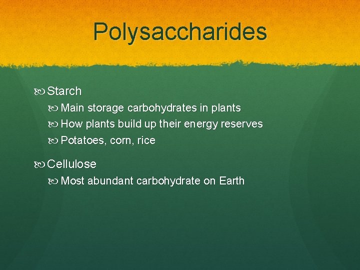 Polysaccharides Starch Main storage carbohydrates in plants How plants build up their energy reserves