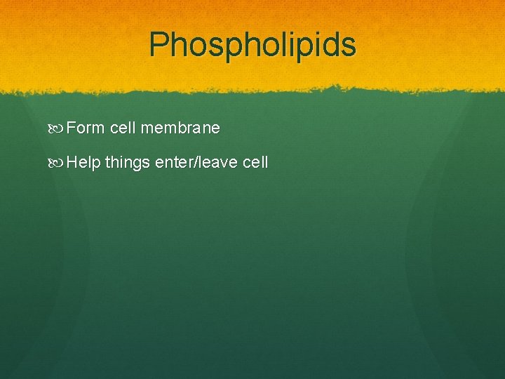 Phospholipids Form cell membrane Help things enter/leave cell 