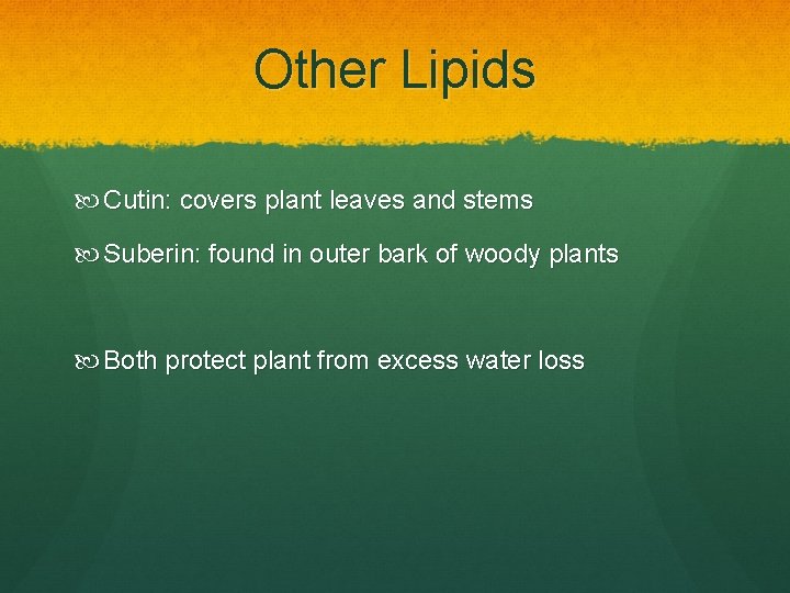 Other Lipids Cutin: covers plant leaves and stems Suberin: found in outer bark of