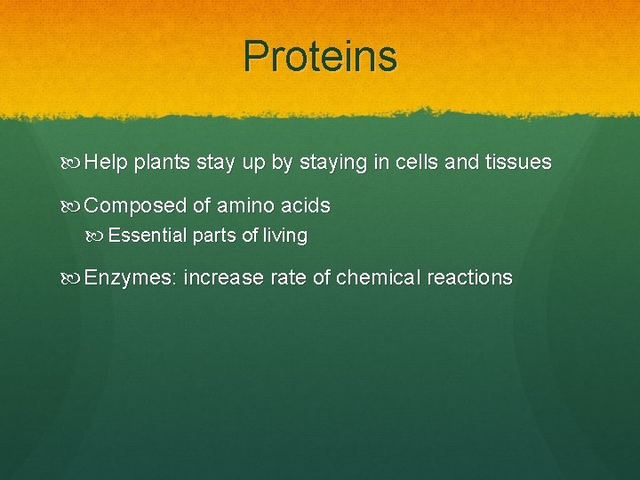 Proteins Help plants stay up by staying in cells and tissues Composed of amino
