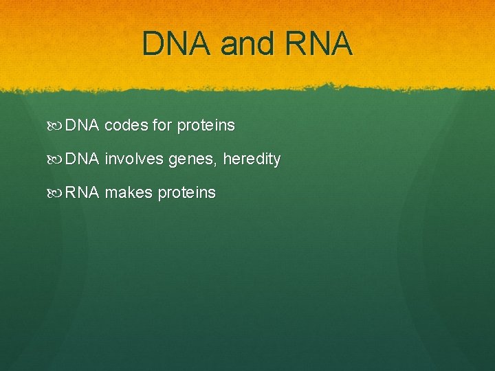 DNA and RNA DNA codes for proteins DNA involves genes, heredity RNA makes proteins
