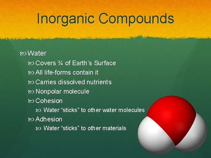 Inorganic Compounds Water Covers ¾ of Earth’s Surface All life-forms contain it Carries dissolved