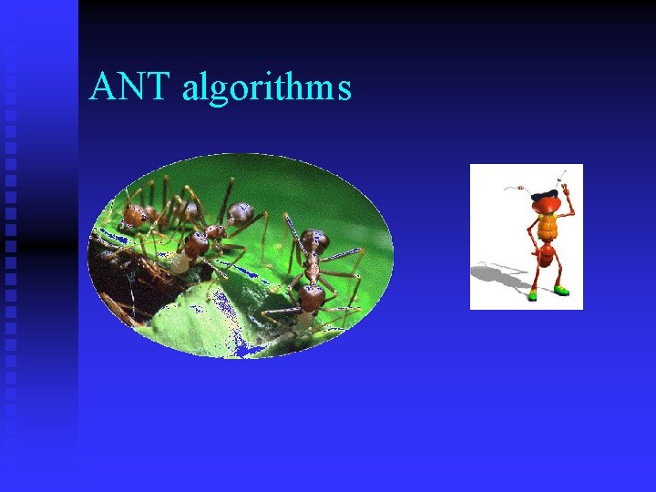 ANT algorithms ANT algorithms
