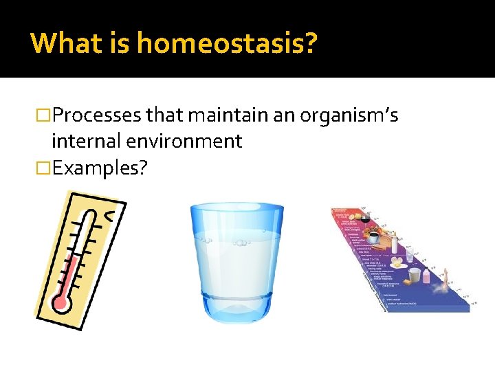 What is homeostasis? �Processes that maintain an organism’s internal environment �Examples? 
