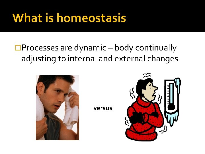 What is homeostasis �Processes are dynamic – body continually adjusting to internal and external