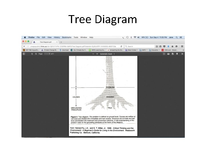 Tree Diagram 