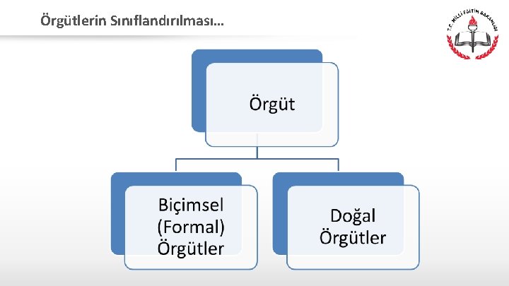 Örgütlerin Sınıflandırılması… 