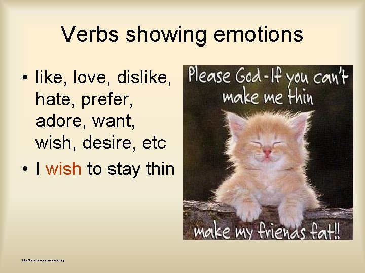 Verbs showing emotions • like, love, dislike, hate, prefer, adore, want, wish, desire, etc