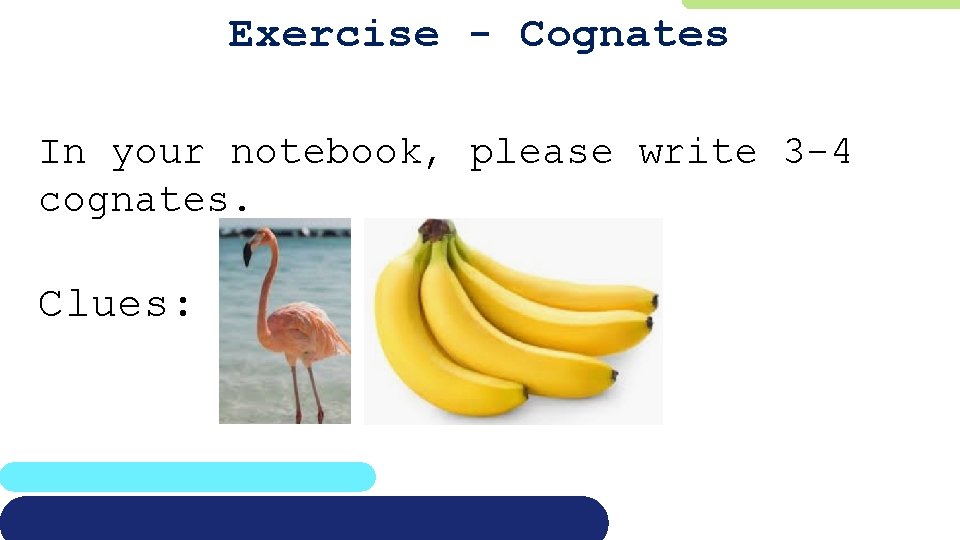Exercise - Cognates In your notebook, please write 3 -4 cognates. Clues: 