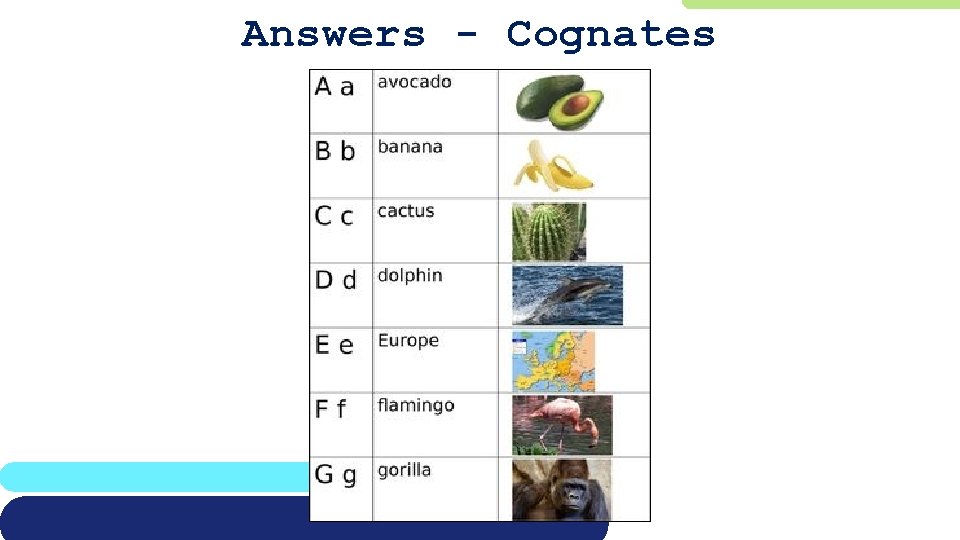 Answers - Cognates 