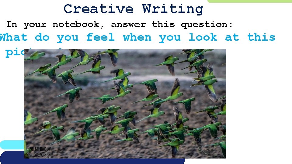 Creative Writing In your notebook, answer this question: What do you feel when you