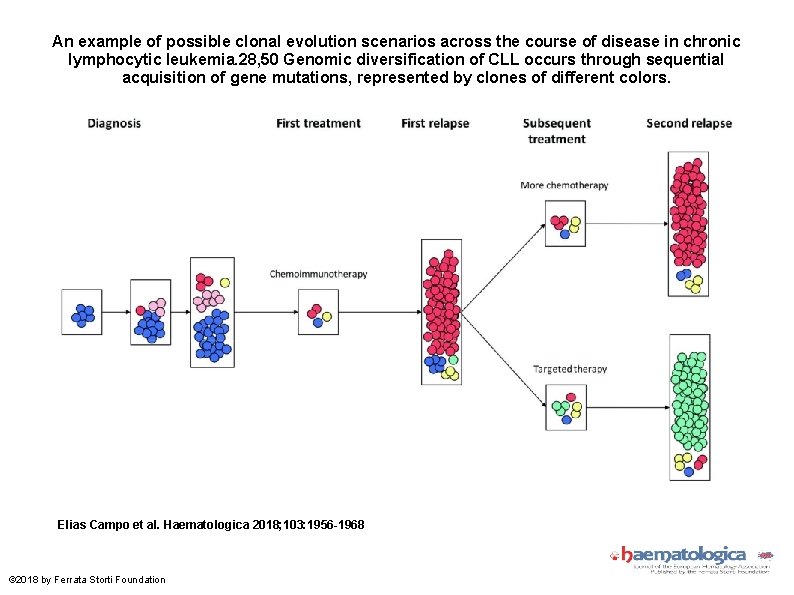 An example of possible clonal evolution scenarios across the course of disease in chronic