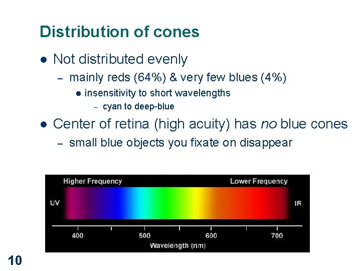 Distribution of cones l Not distributed evenly – mainly reds (64%) & very few