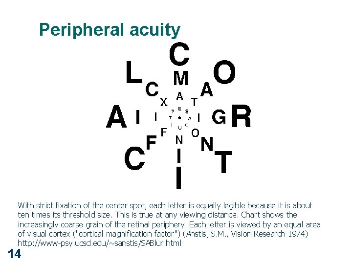 Peripheral acuity With strict fixation of the center spot, each letter is equally legible