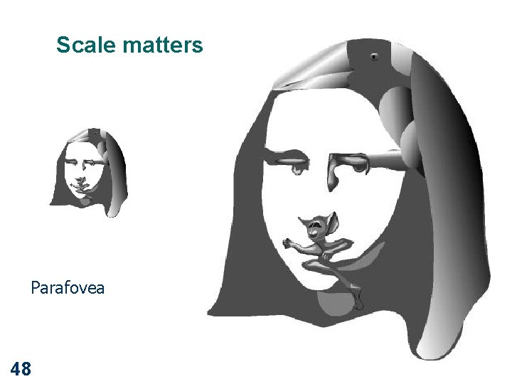 Scale matters Parafovea 48 
