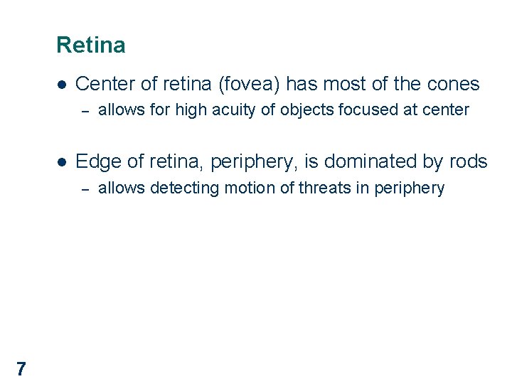 Retina l Center of retina (fovea) has most of the cones – l Edge