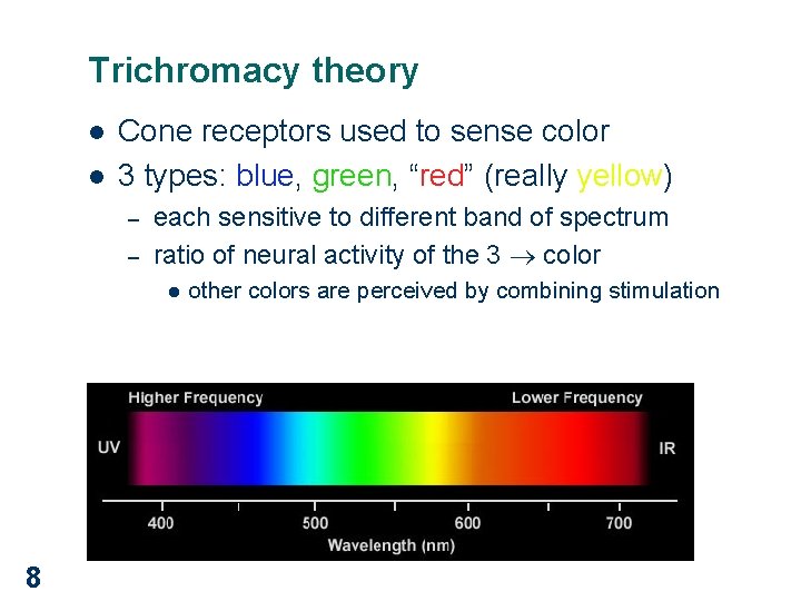 Trichromacy theory l l Cone receptors used to sense color 3 types: blue, green,