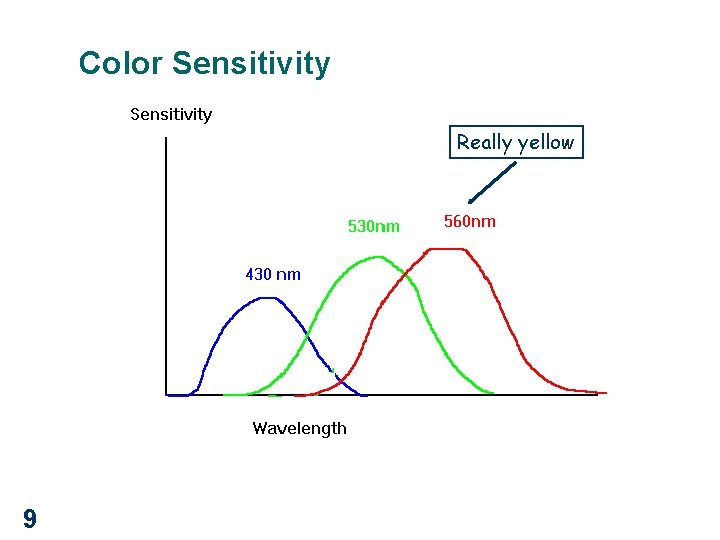 Color Sensitivity Really yellow 9 