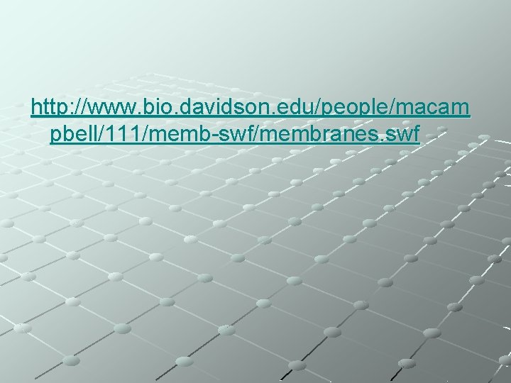 http: //www. bio. davidson. edu/people/macam pbell/111/memb-swf/membranes. swf 