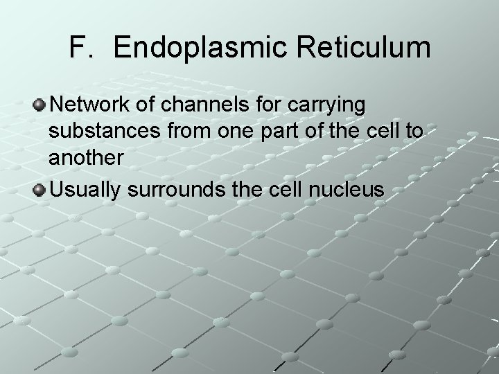 F. Endoplasmic Reticulum Network of channels for carrying substances from one part of the