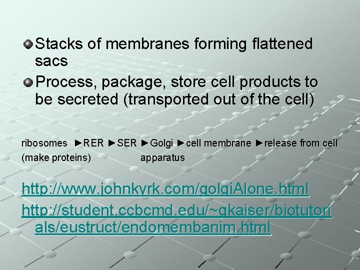 Stacks of membranes forming flattened sacs Process, package, store cell products to be secreted
