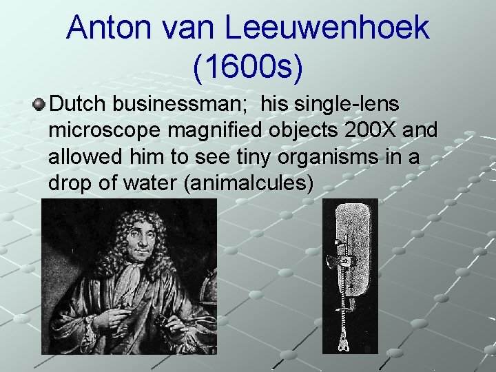 Anton van Leeuwenhoek (1600 s) Dutch businessman; his single-lens microscope magnified objects 200 X