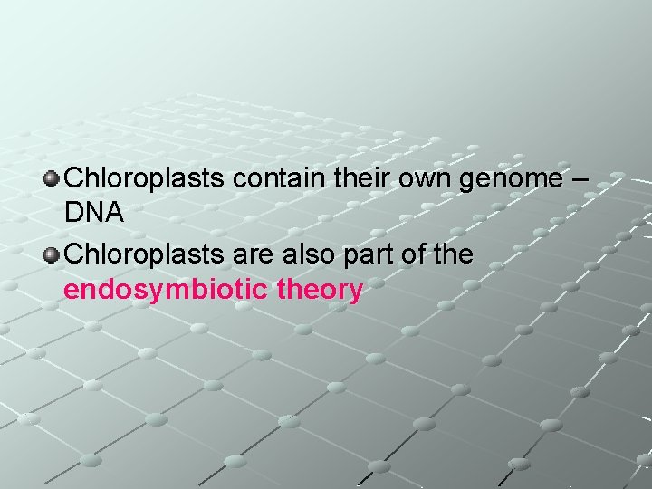 Chloroplasts contain their own genome – DNA Chloroplasts are also part of the endosymbiotic