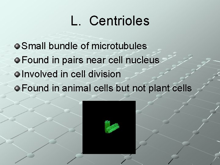 L. Centrioles Small bundle of microtubules Found in pairs near cell nucleus Involved in