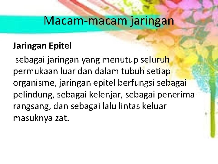 Macam-macam jaringan Jaringan Epitel sebagai jaringan yang menutup seluruh permukaan luar dan dalam tubuh