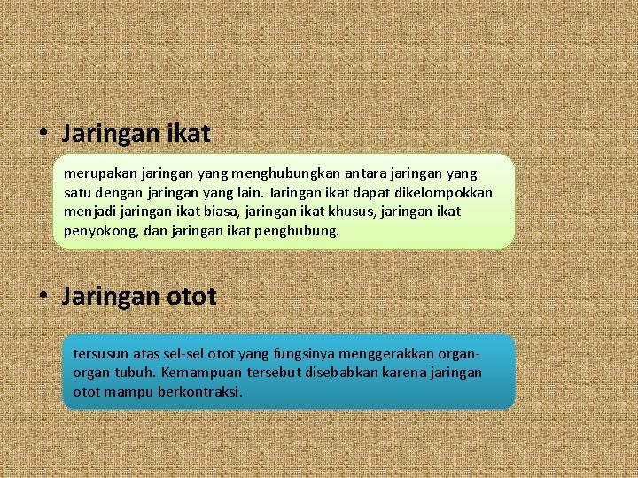  • Jaringan ikat merupakan jaringan yang menghubungkan antara jaringan yang satu dengan jaringan